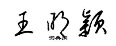 梁锦英王明颖草书个性签名怎么写