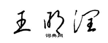 梁锦英王明润草书个性签名怎么写