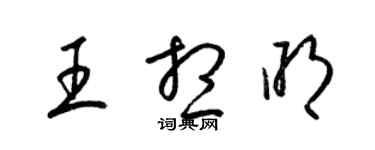 梁锦英王想明草书个性签名怎么写