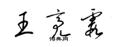 梁锦英王亮霞草书个性签名怎么写