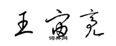 梁锦英王宙亮草书个性签名怎么写