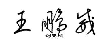 梁锦英王鹏威草书个性签名怎么写