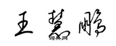 梁锦英王慧鹏草书个性签名怎么写