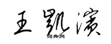 梁锦英王凯滨草书个性签名怎么写