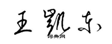 梁锦英王凯东草书个性签名怎么写