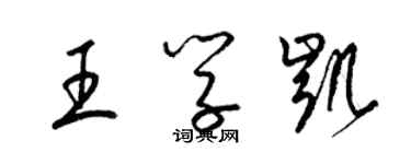 梁锦英王学凯草书个性签名怎么写