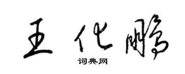 梁锦英王化鹏草书个性签名怎么写