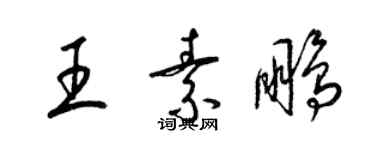 梁锦英王素鹏草书个性签名怎么写