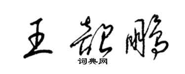 梁锦英王韶鹏草书个性签名怎么写