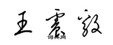 梁锦英王震毅草书个性签名怎么写