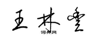 梁锦英王林丰草书个性签名怎么写