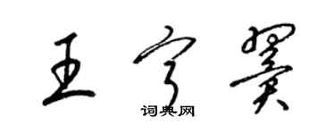 梁锦英王宁翼草书个性签名怎么写