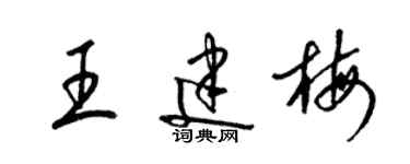 梁锦英王建梅草书个性签名怎么写