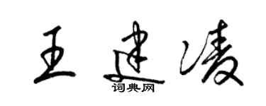 梁锦英王建凌草书个性签名怎么写