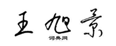 梁锦英王旭景草书个性签名怎么写