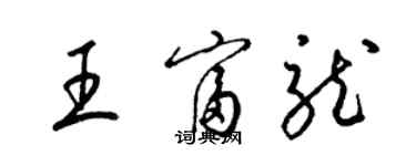 梁锦英王富龙草书个性签名怎么写