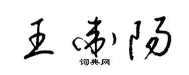 梁锦英王卫阳草书个性签名怎么写