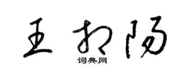 梁锦英王相阳草书个性签名怎么写
