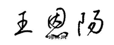 梁锦英王恩阳草书个性签名怎么写