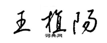 梁锦英王植阳草书个性签名怎么写