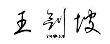 梁锦英王剑坡草书个性签名怎么写
