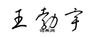 梁锦英王勃宇草书个性签名怎么写
