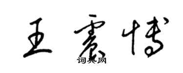 梁锦英王震博草书个性签名怎么写