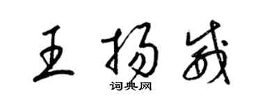 梁锦英王扬威草书个性签名怎么写