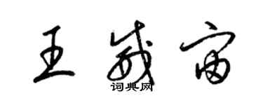 梁锦英王威宙草书个性签名怎么写