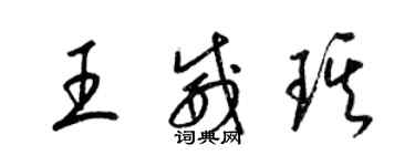 梁锦英王威琪草书个性签名怎么写
