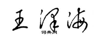 梁锦英王泽海草书个性签名怎么写