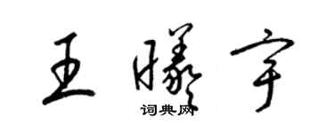 梁锦英王曦宇草书个性签名怎么写