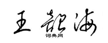 梁锦英王韶海草书个性签名怎么写