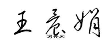 梁锦英王晨娟草书个性签名怎么写