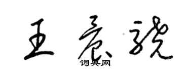 梁锦英王晨骁草书个性签名怎么写