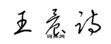 梁锦英王晨诗草书个性签名怎么写