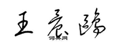 梁锦英王晨鸥草书个性签名怎么写