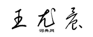 梁锦英王尤晨草书个性签名怎么写