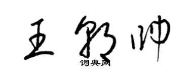 梁锦英王朝帅草书个性签名怎么写
