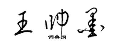 梁锦英王帅墨草书个性签名怎么写
