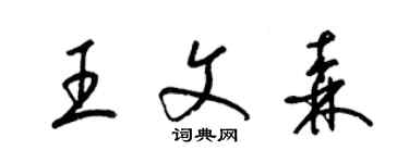梁锦英王文森草书个性签名怎么写