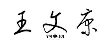梁锦英王文康草书个性签名怎么写
