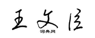 梁锦英王文臣草书个性签名怎么写
