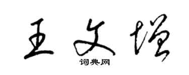 梁锦英王文增草书个性签名怎么写