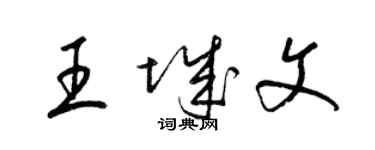 梁锦英王城文草书个性签名怎么写