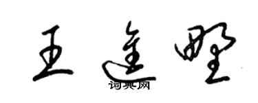 梁锦英王进野草书个性签名怎么写