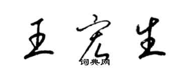 梁锦英王宏生草书个性签名怎么写