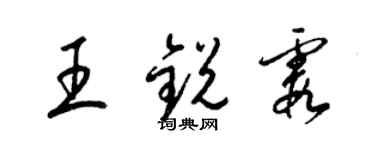 梁锦英王锐霞草书个性签名怎么写