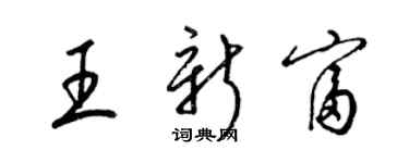 梁锦英王新富草书个性签名怎么写