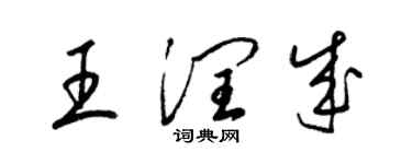 梁锦英王润成草书个性签名怎么写